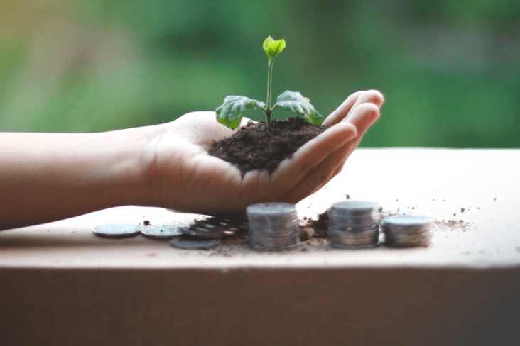 Funds & Asset Management