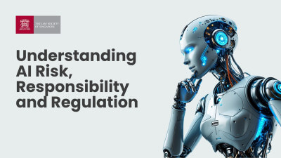 Understanding AI: Risk, Responsibility and Regulation